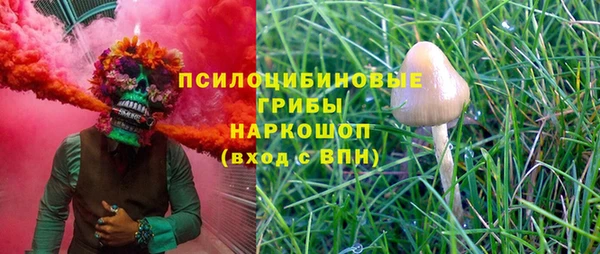 apvp Покровск