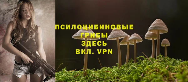 марихуана Абаза